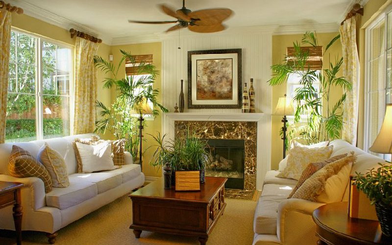 thiết kế nội thất phòng khách phong cách tropical nhiệt đới